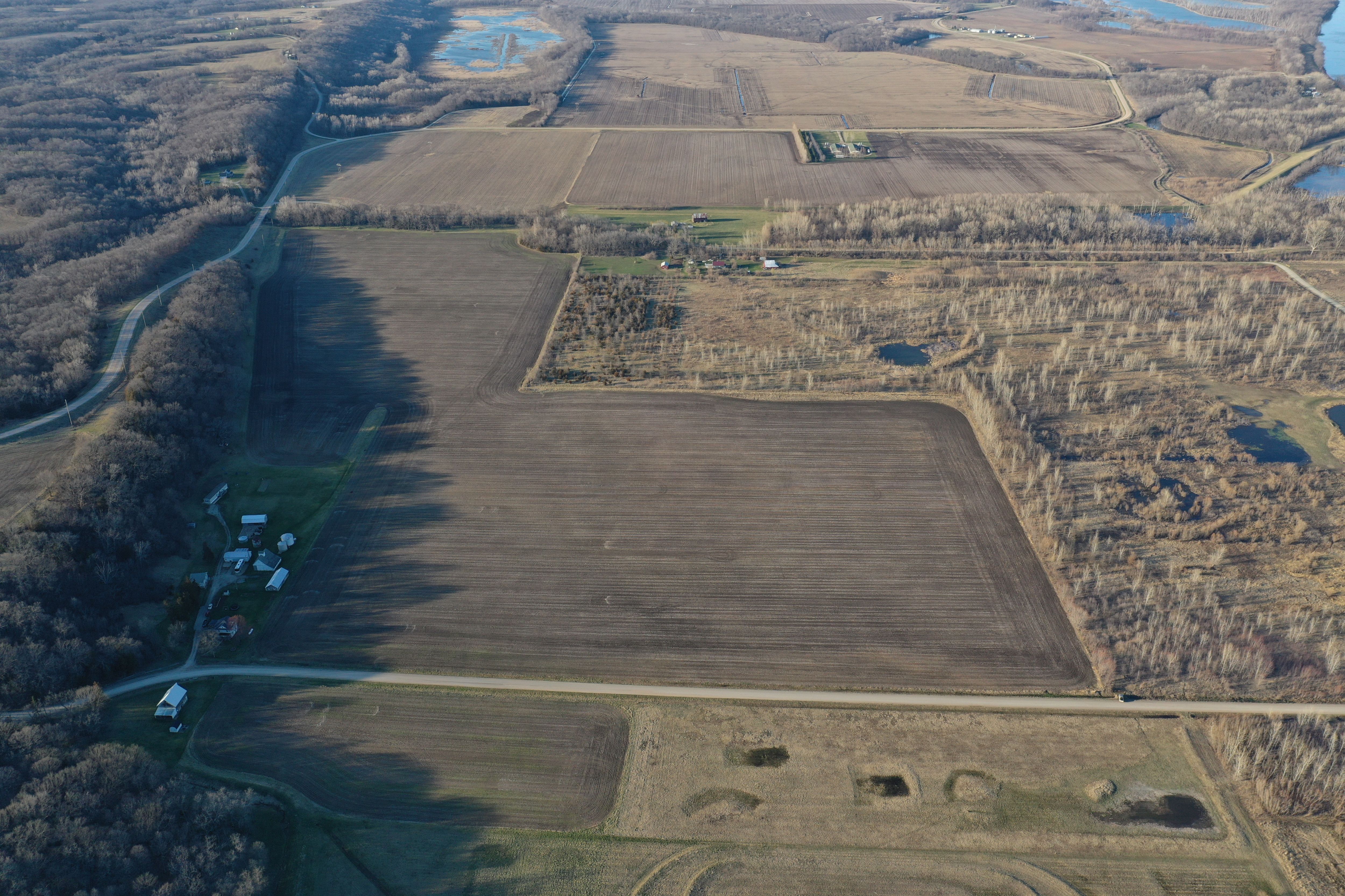 Listing Photo: Louisa County, Iowa Farmland for Sale (7)